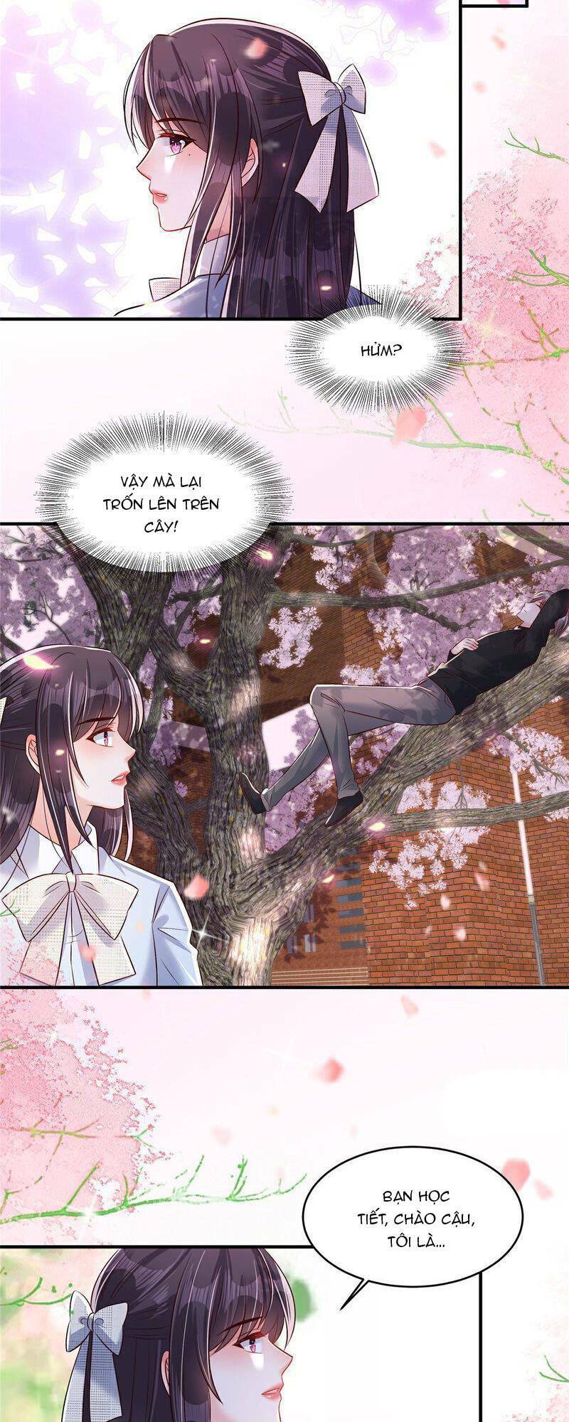 Trọng Sinh Trở Lại: Sủng Nịch Độc Nhất Vô Nhị: Chapter 344