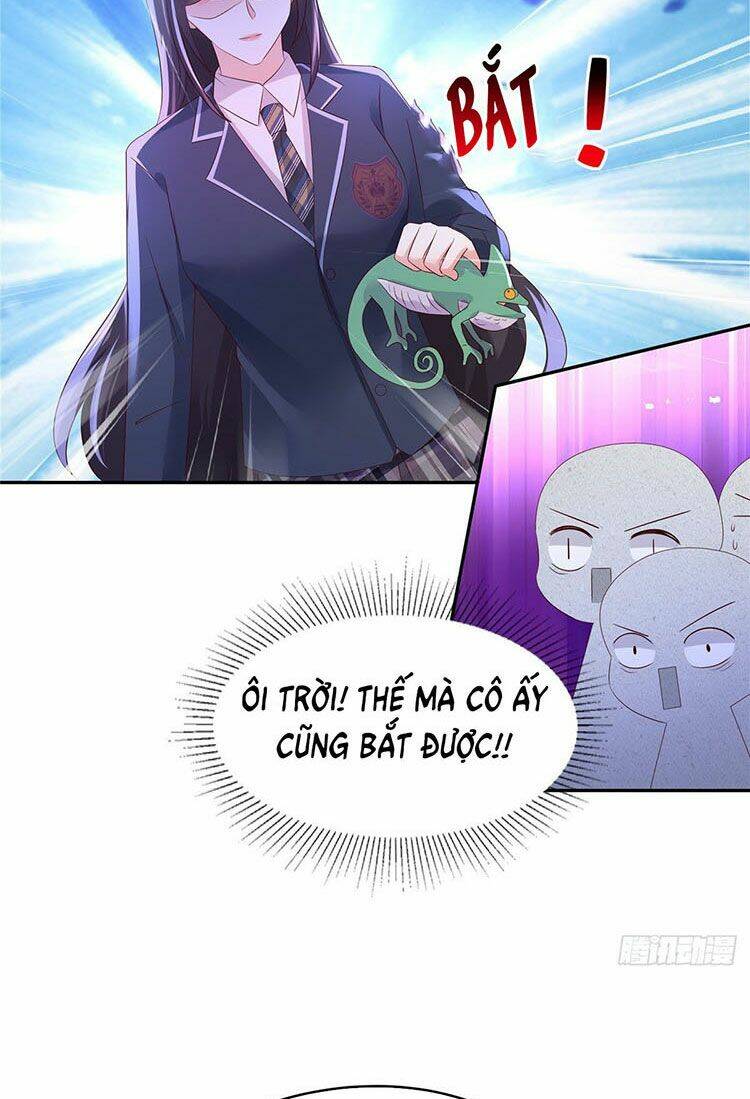 Trọng Sinh Trở Lại: Sủng Nịch Độc Nhất Vô Nhị: Chapter 38