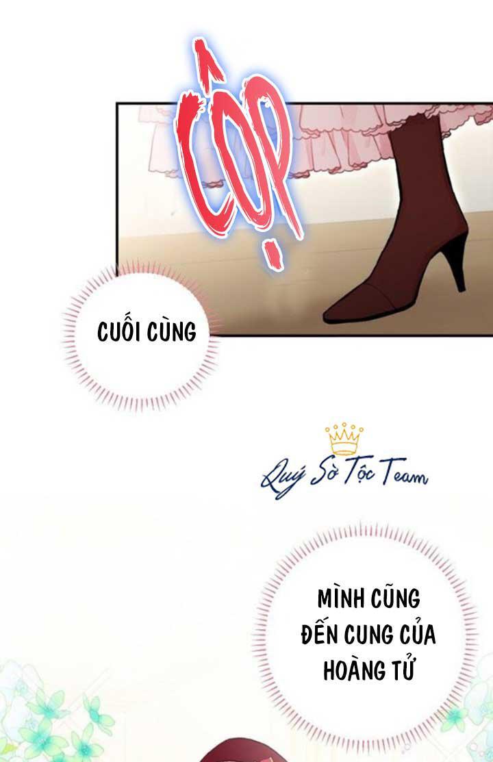 Trọng Sinh Trở Thành Hoàng Phi: Chapter 49