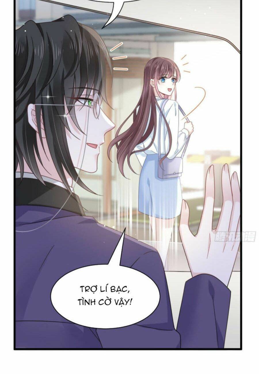 Trọng Sinh Trở Thành Món Tráng Miệng Của Tổng Tài Ma Cà Rồng: Chapter 16