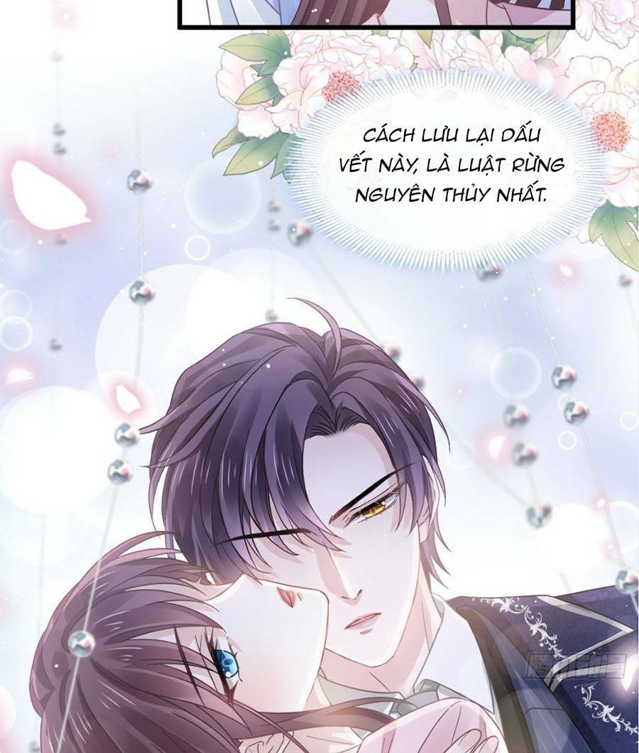 Trọng Sinh Trở Thành Món Tráng Miệng Của Tổng Tài Ma Cà Rồng: Chapter 39