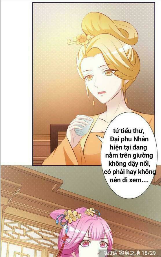 Trọng Sinh Y Phi: Chapter 4