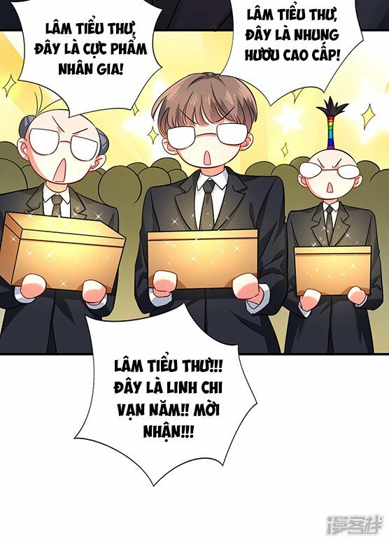 Trùng Sinh Không Gian: Cô Vợ Hào Môn Nóng Bỏng Không Dễ Chọc: Chapter 14