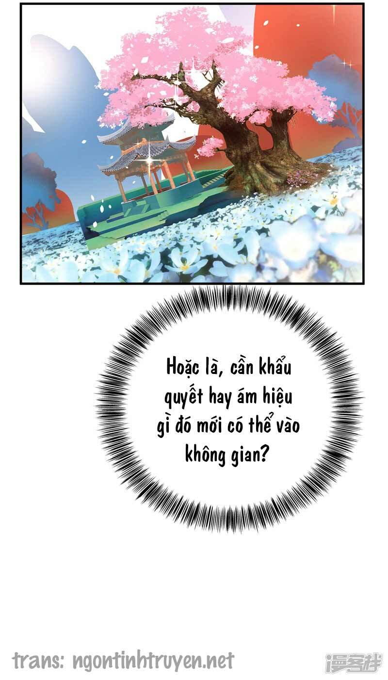 Trùng Sinh Không Gian: Cô Vợ Hào Môn Nóng Bỏng Không Dễ Chọc: Chapter 16