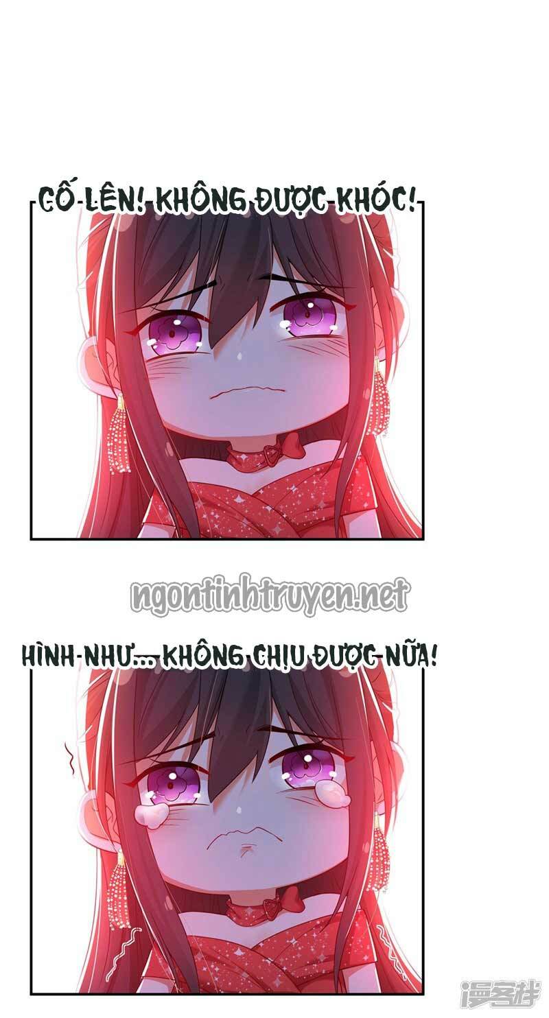 Trùng Sinh Không Gian: Cô Vợ Hào Môn Nóng Bỏng Không Dễ Chọc: Chapter 27