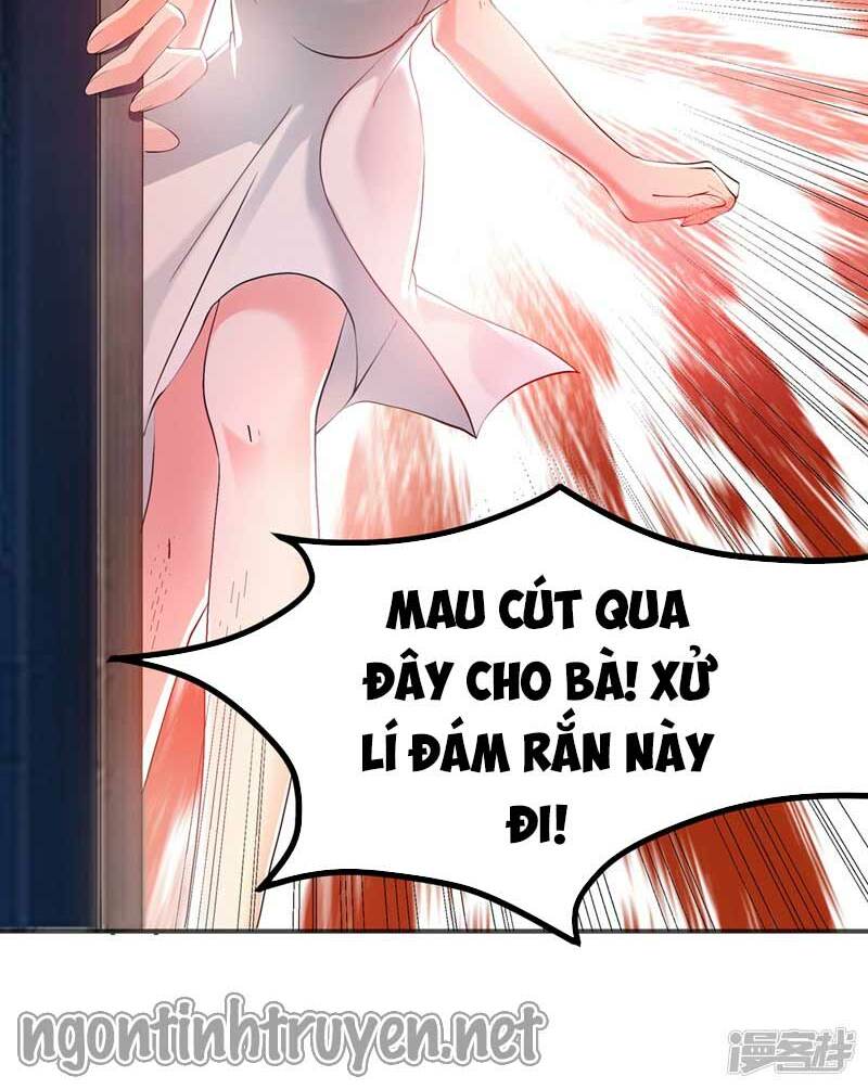 Trùng Sinh Không Gian: Cô Vợ Hào Môn Nóng Bỏng Không Dễ Chọc: Chapter 28