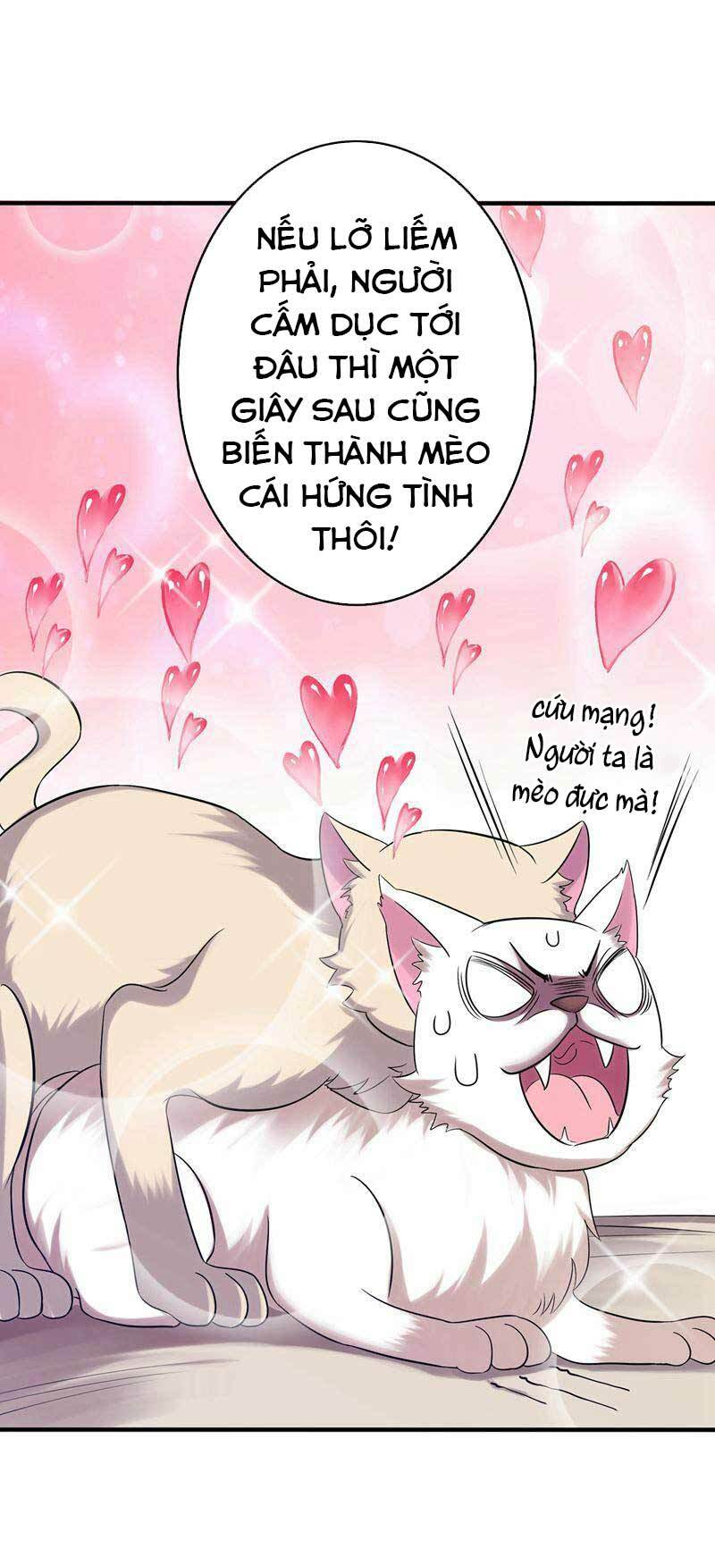 Trùng Sinh Không Gian: Cô Vợ Hào Môn Nóng Bỏng Không Dễ Chọc: Chapter 43