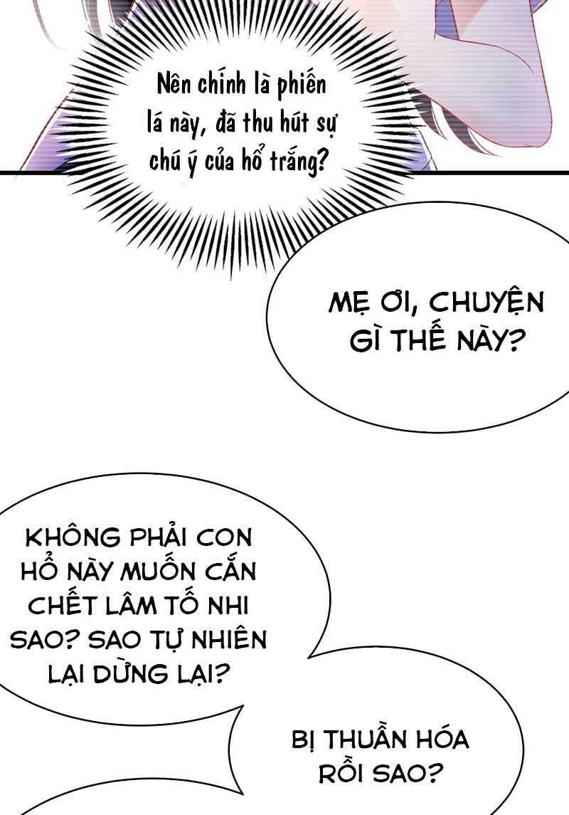 Trùng Sinh Không Gian: Cô Vợ Hào Môn Nóng Bỏng Không Dễ Chọc: Chapter 57
