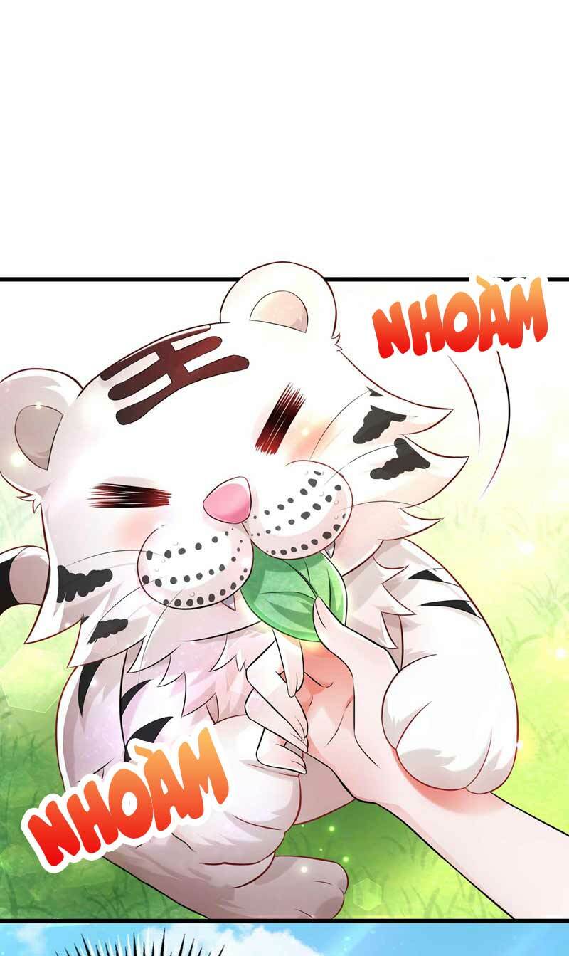 Trùng Sinh Không Gian: Cô Vợ Hào Môn Nóng Bỏng Không Dễ Chọc: Chapter 57