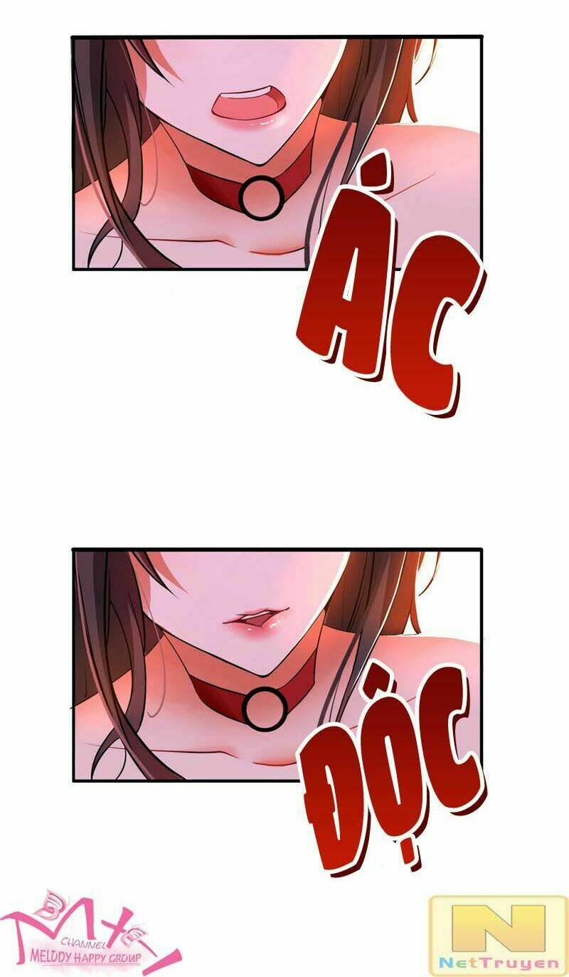 Trùng Sinh Không Gian: Cô Vợ Hào Môn Nóng Bỏng Không Dễ Chọc: Chapter 6.2