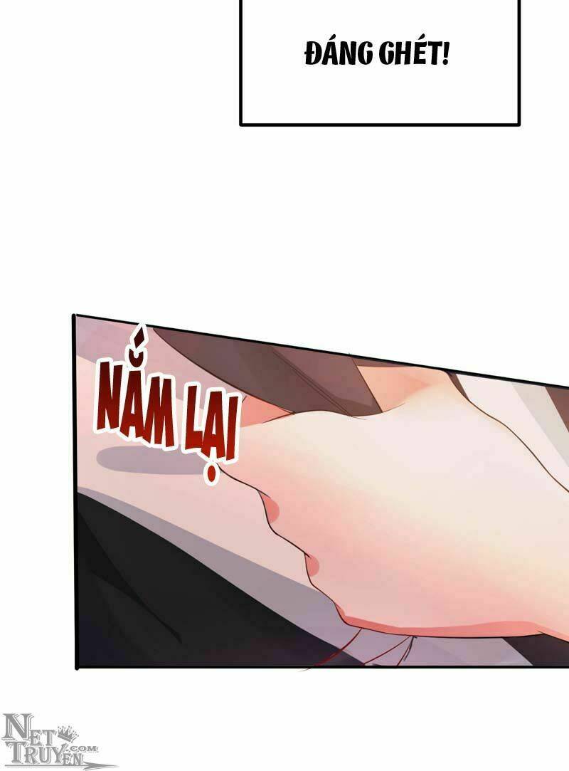 Trùng Sinh Không Gian: Cô Vợ Hào Môn Nóng Bỏng Không Dễ Chọc: Chapter 8.5