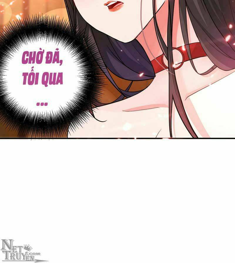 Trùng Sinh Không Gian: Cô Vợ Hào Môn Nóng Bỏng Không Dễ Chọc: Chapter 8