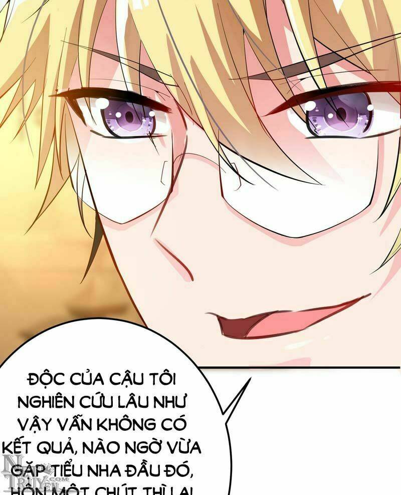 Trùng Sinh Không Gian: Cô Vợ Hào Môn Nóng Bỏng Không Dễ Chọc: Chapter 9.1