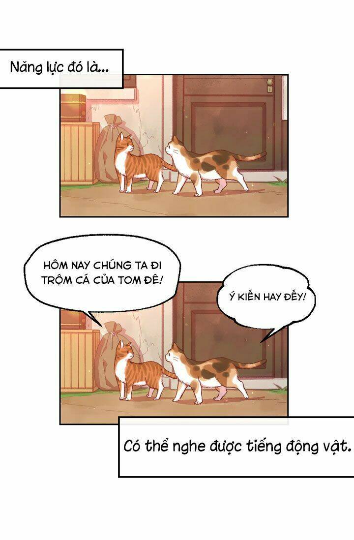 Tuyển Tập Prologue Hàn: Chapter 13