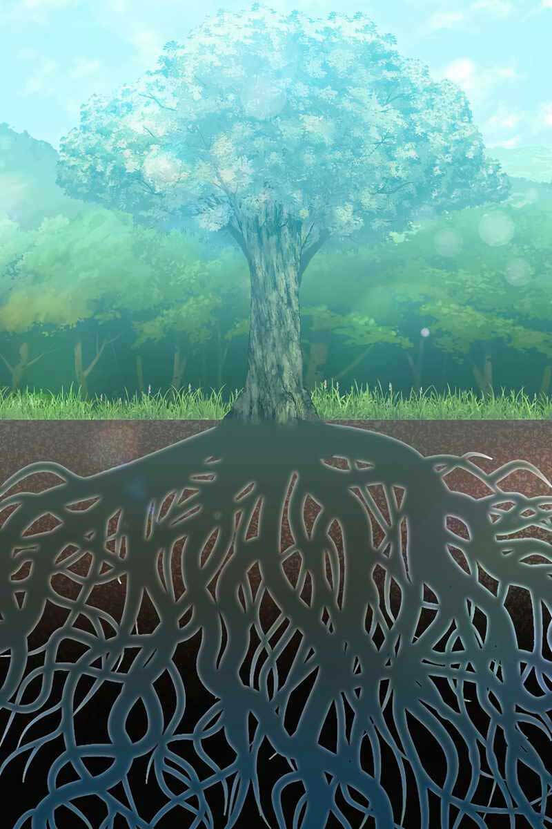 Tuyệt Đỉnh Võ Lâm: Chapter 41