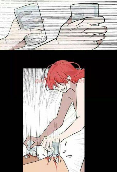 Ứng Dụng Thẩm Mỹ 2: Chapter 11