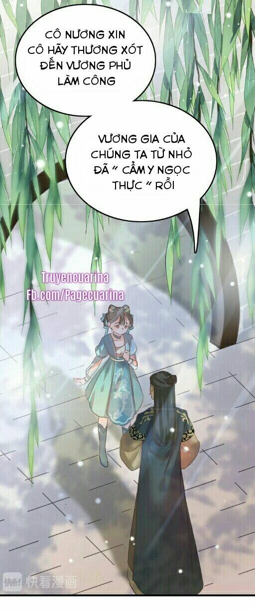 Ứng Hữu Trường Phong Ỷ Bích Liên: Chapter 1.1