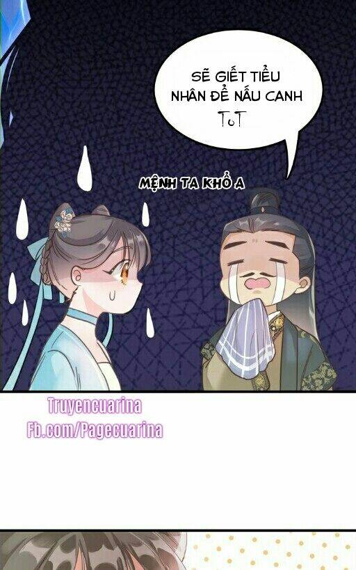 Ứng Hữu Trường Phong Ỷ Bích Liên: Chapter 1.1