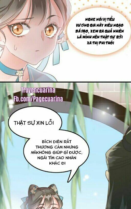 Ứng Hữu Trường Phong Ỷ Bích Liên: Chapter 1.1