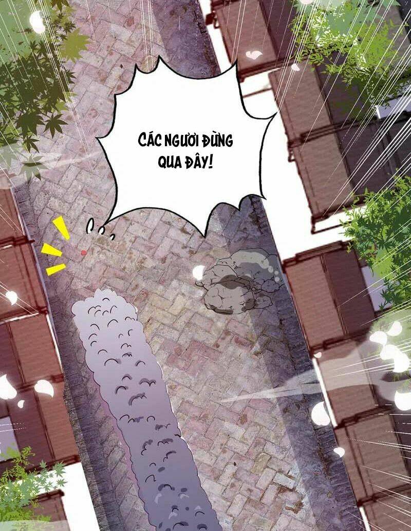 Tư Mã Song Hiệp: Chapter 99