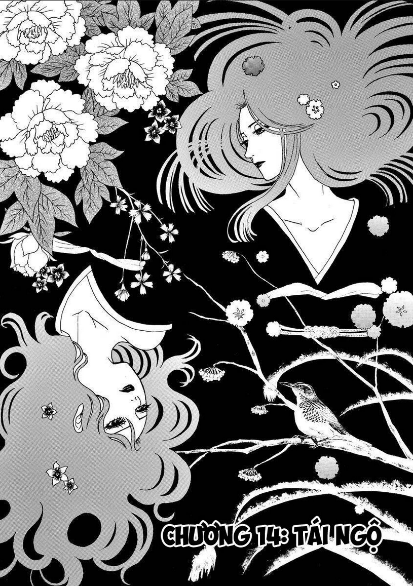 Vì Hận Tái Sinh ~Người phụ nữ vì phục thù mà từ bỏ gương mặt của mình~: Chapter 14
