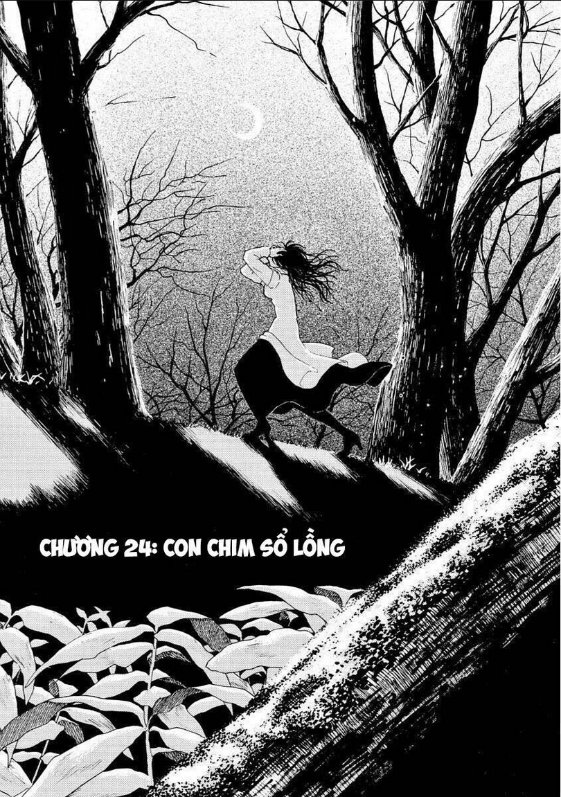 Vì Hận Tái Sinh ~Người phụ nữ vì phục thù mà từ bỏ gương mặt của mình~: Chapter 24