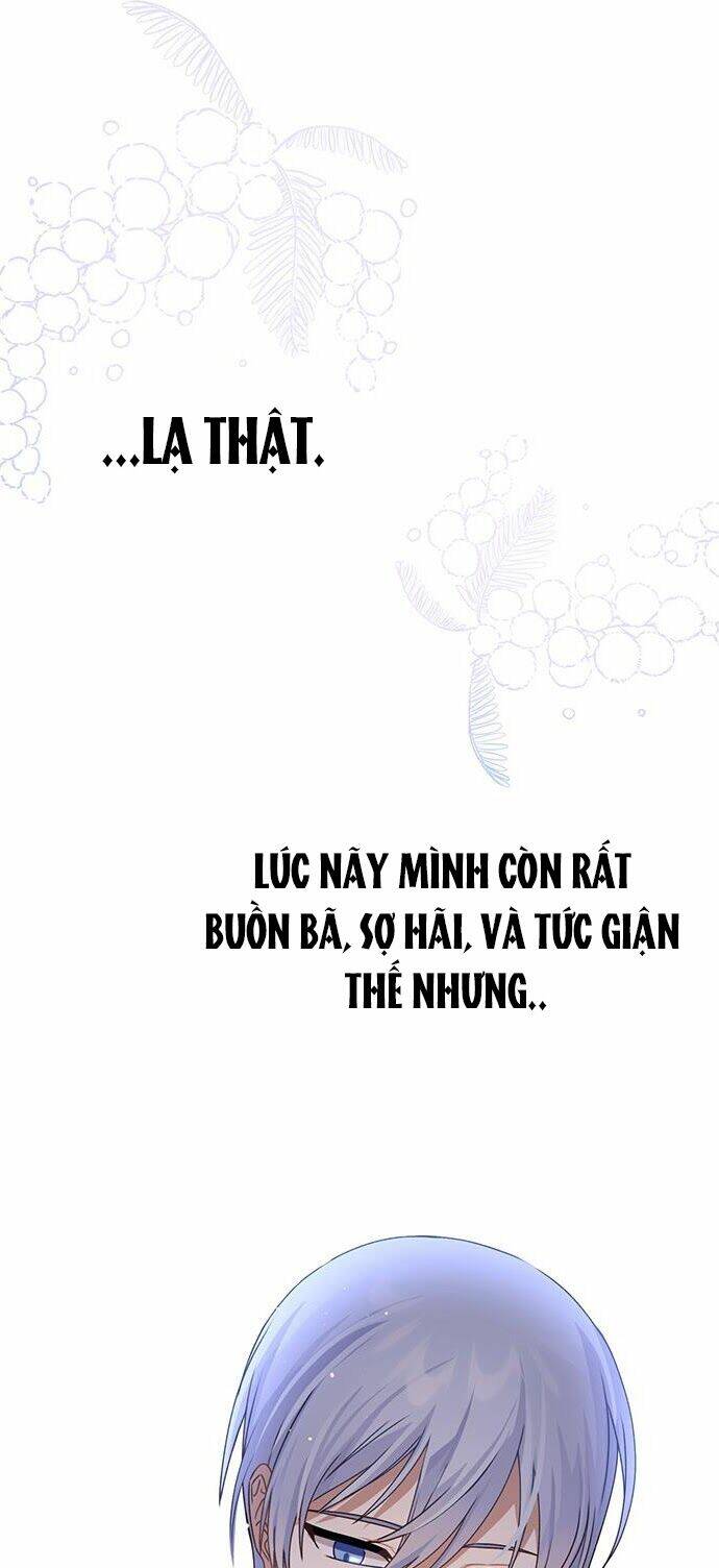 Bí Mật Của Quý Cô: Chapter 41