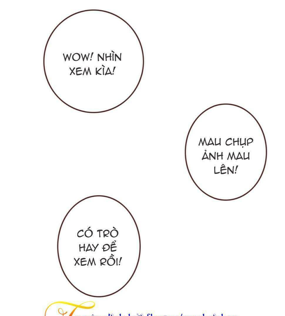 Lần Nữa Toả Sáng: Chapter 1