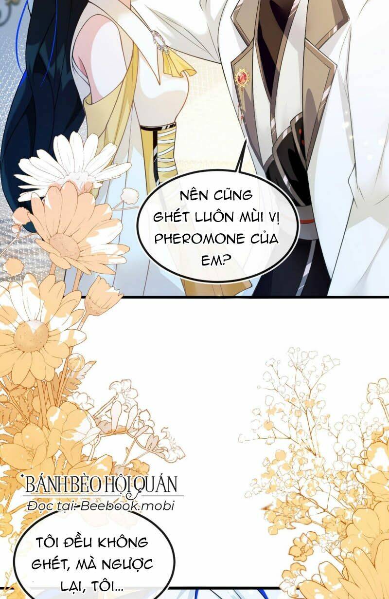Chị Tôi Đã Nhặt Về Nhà Một Nam Chính Quyến Rũ: Chapter 3