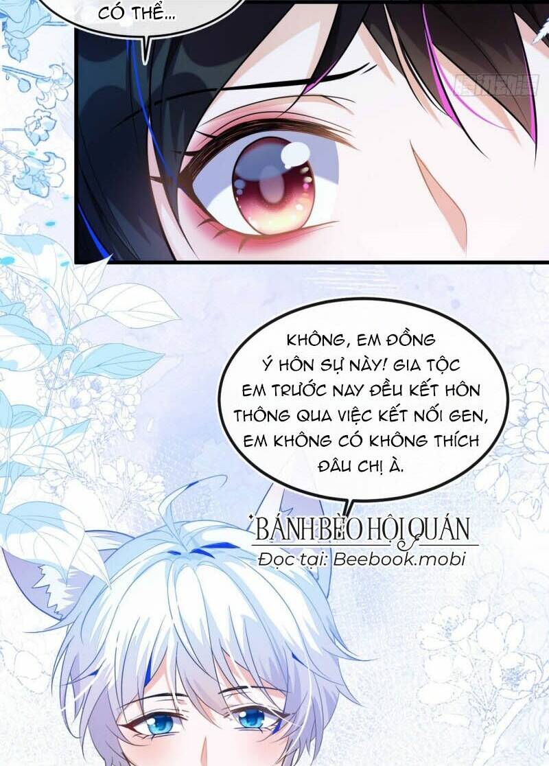 Chị Tôi Đã Nhặt Về Nhà Một Nam Chính Quyến Rũ: Chapter 3