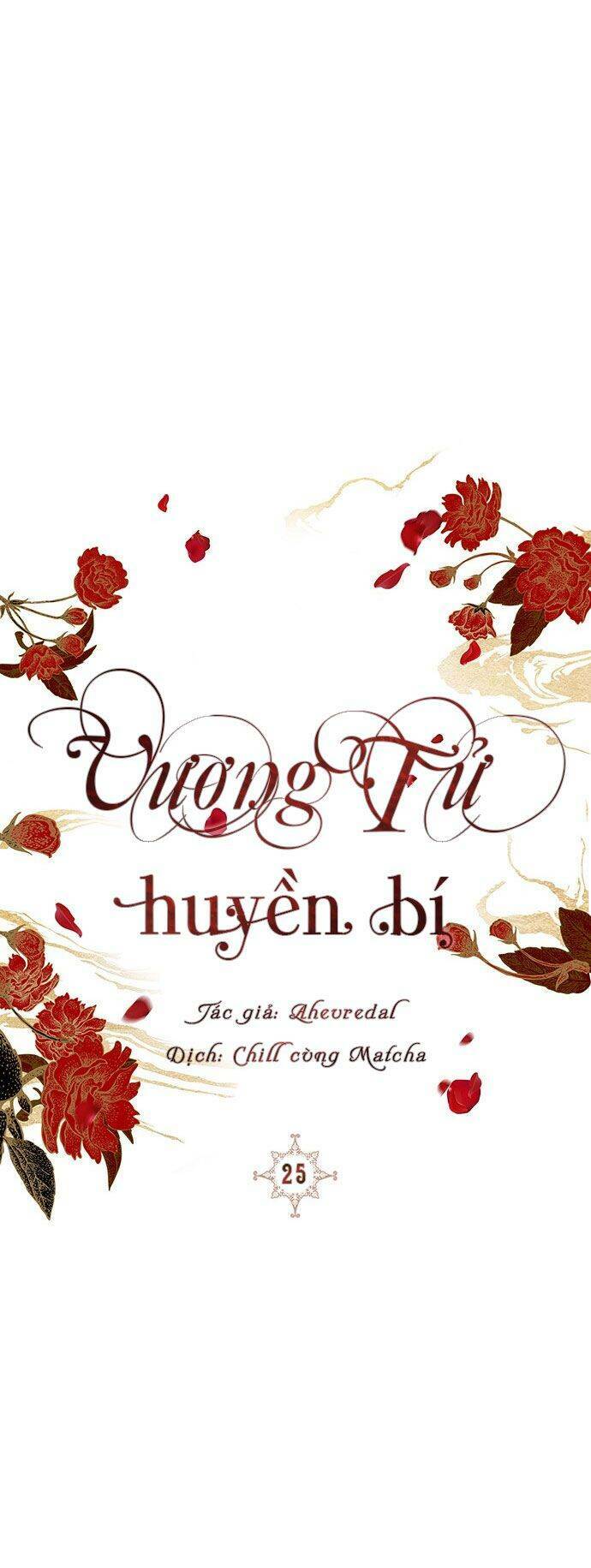 Vương Tử Huyền Bí: Chapter 25