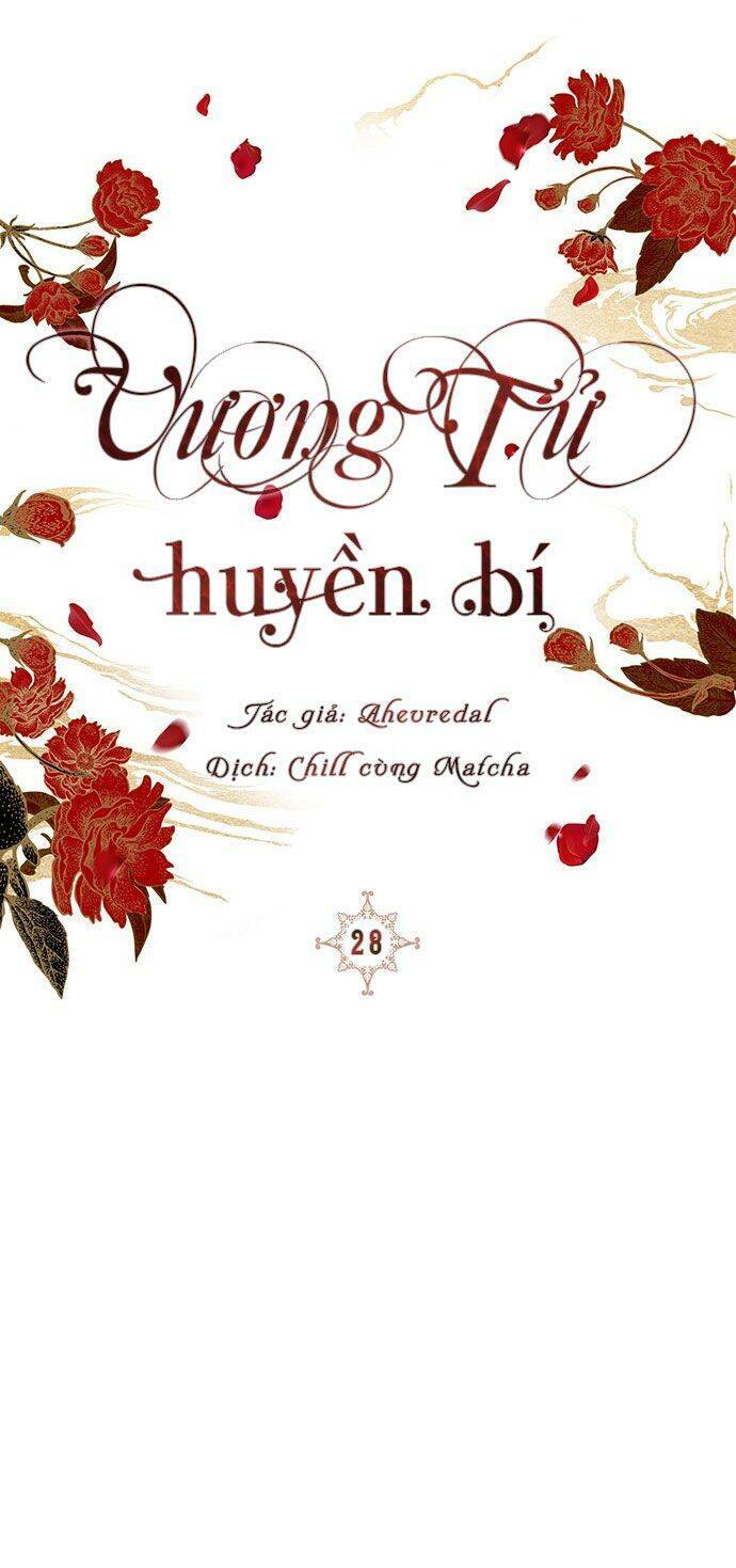 Vương Tử Huyền Bí: Chapter 28