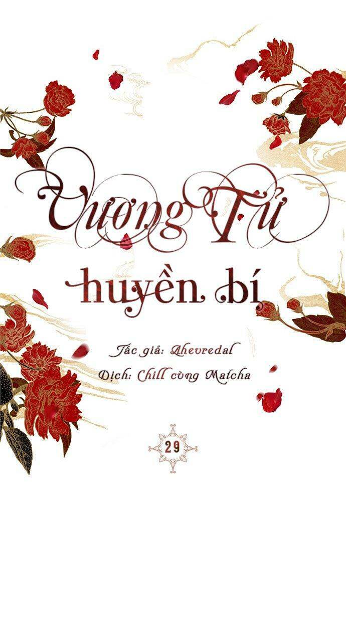 Vương Tử Huyền Bí: Chapter 29