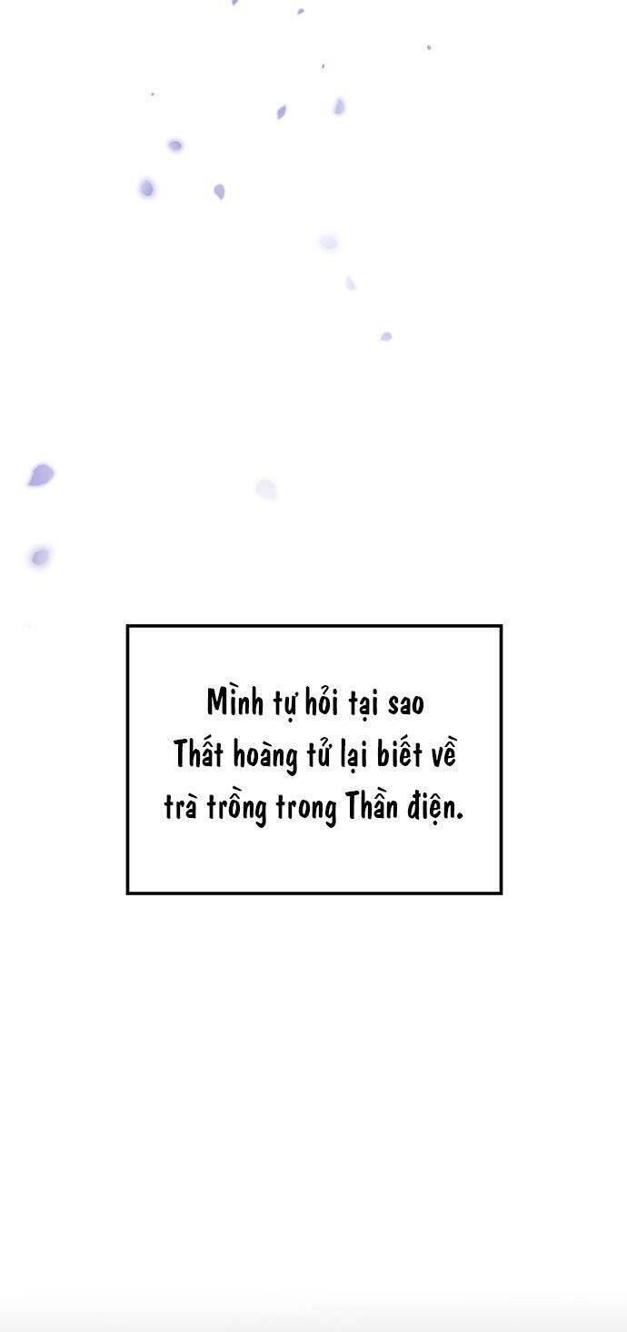 Vương Tử Huyền Bí: Chapter 44