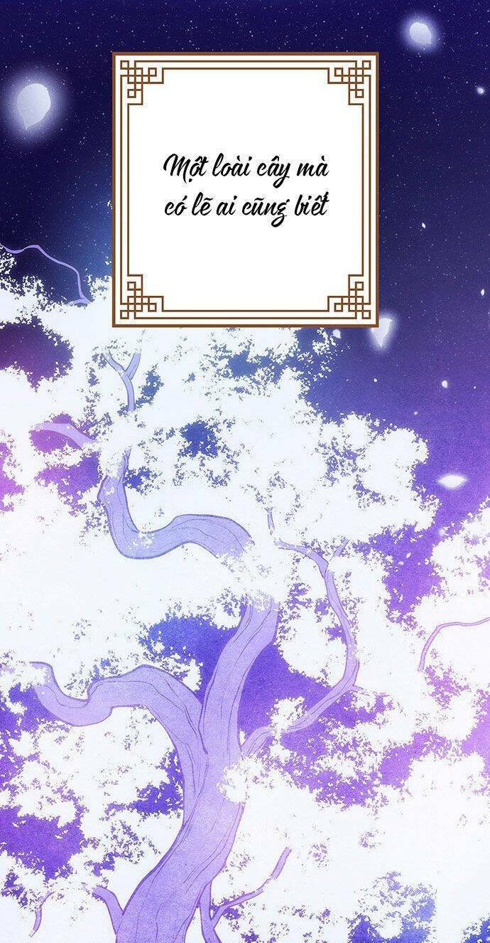 Vương Tử Huyền Bí: Chapter 45
