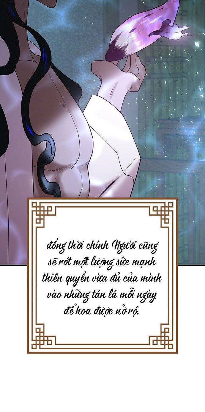 Vương Tử Huyền Bí: Chapter 45