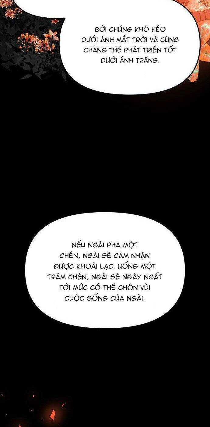 Vương Tử Huyền Bí: Chapter 65