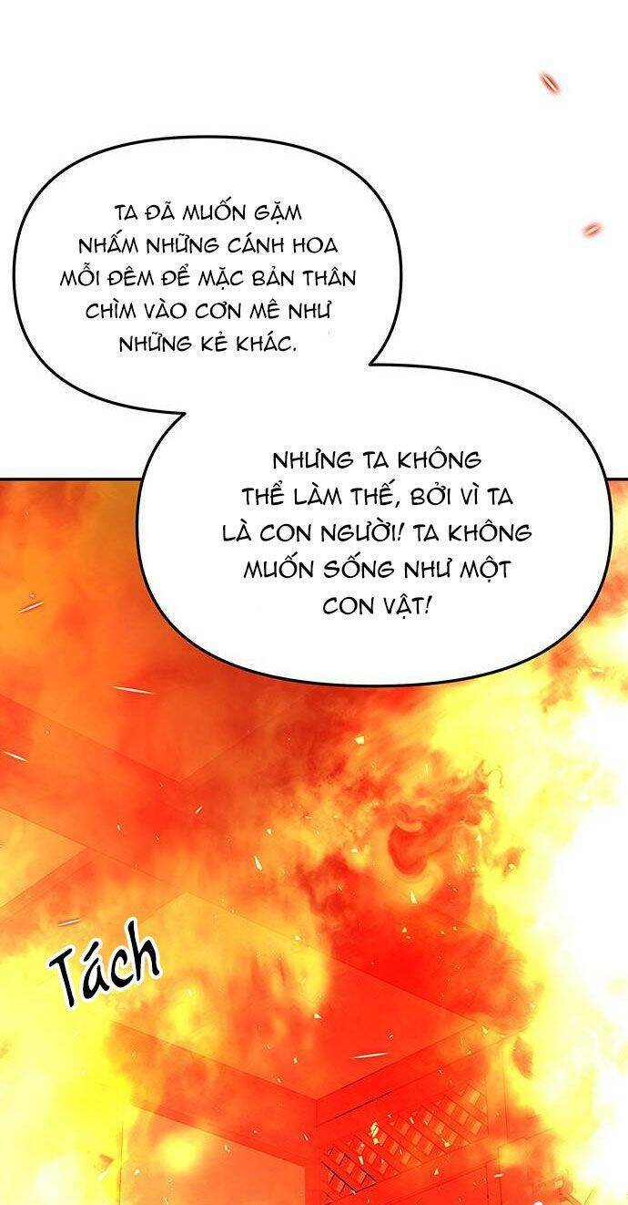 Vương Tử Huyền Bí: Chapter 67