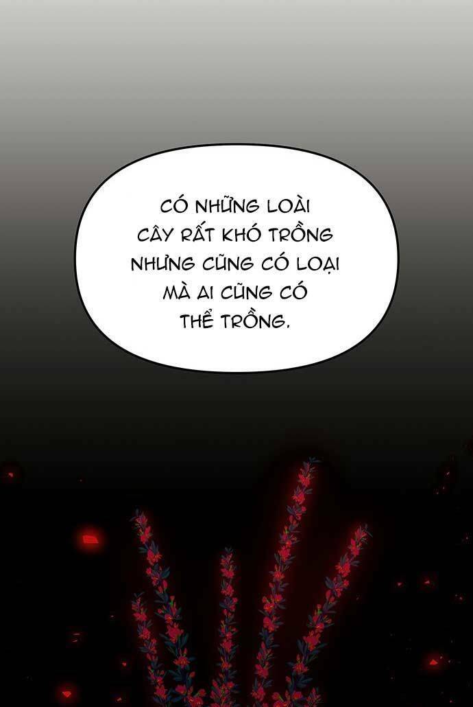 Vương Tử Huyền Bí: Chapter 80