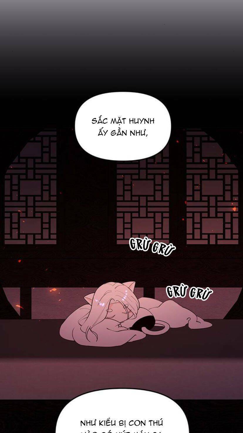 Vương Tử Huyền Bí: Chapter 94