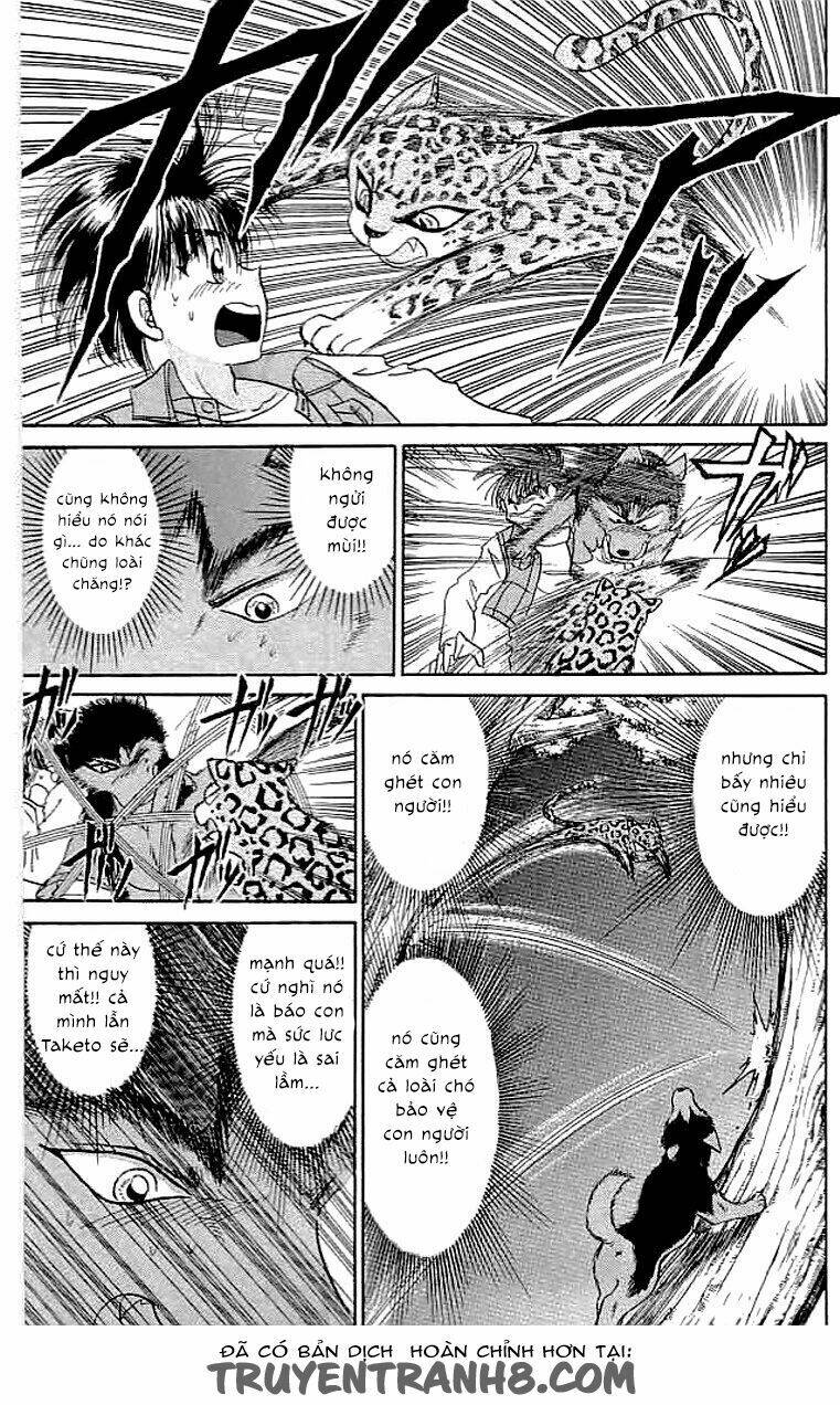 Wild Half: Chapter 16
