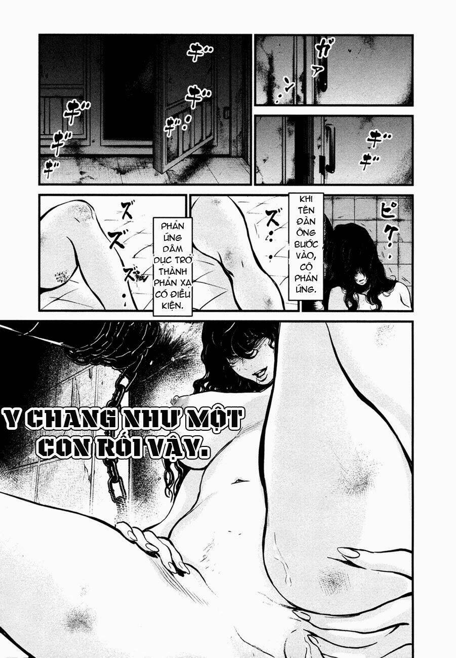 Tình Yêu Trong Sáng: Chapter 96