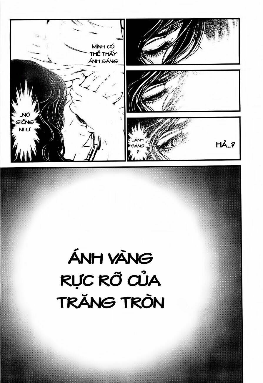 Tình Yêu Trong Sáng: Chapter 99