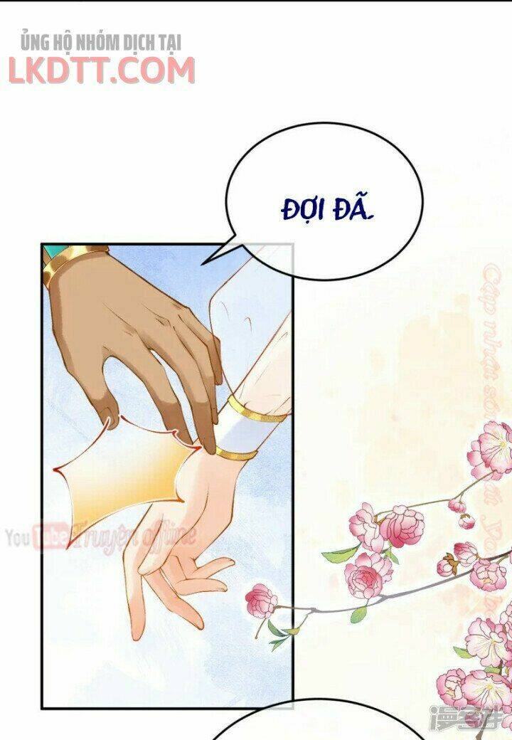 Xuyên Đến Ai Cập : Trở Thành Cô Dâu Của Vương: Chapter 24