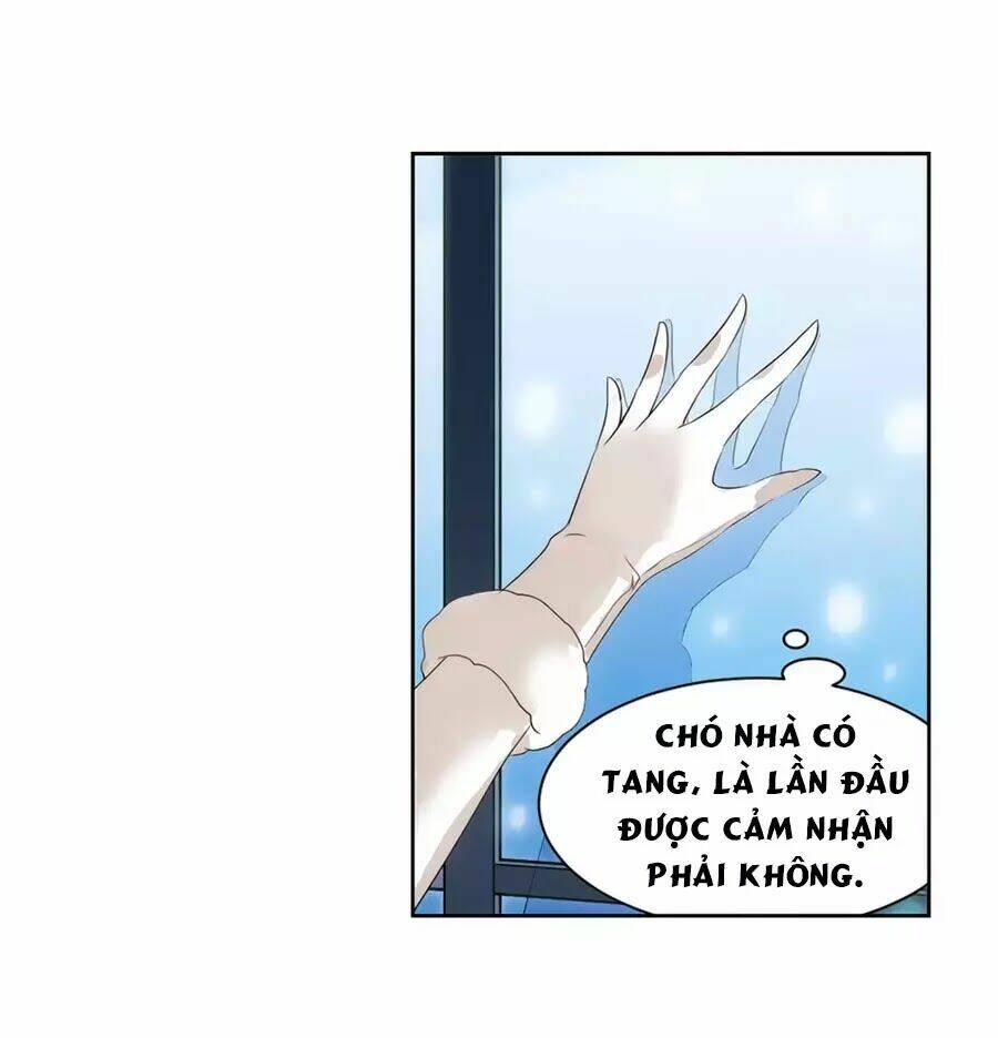 Cô Vợ Siêu Mẫu Của Cố Thiếu: Chapter 269.3