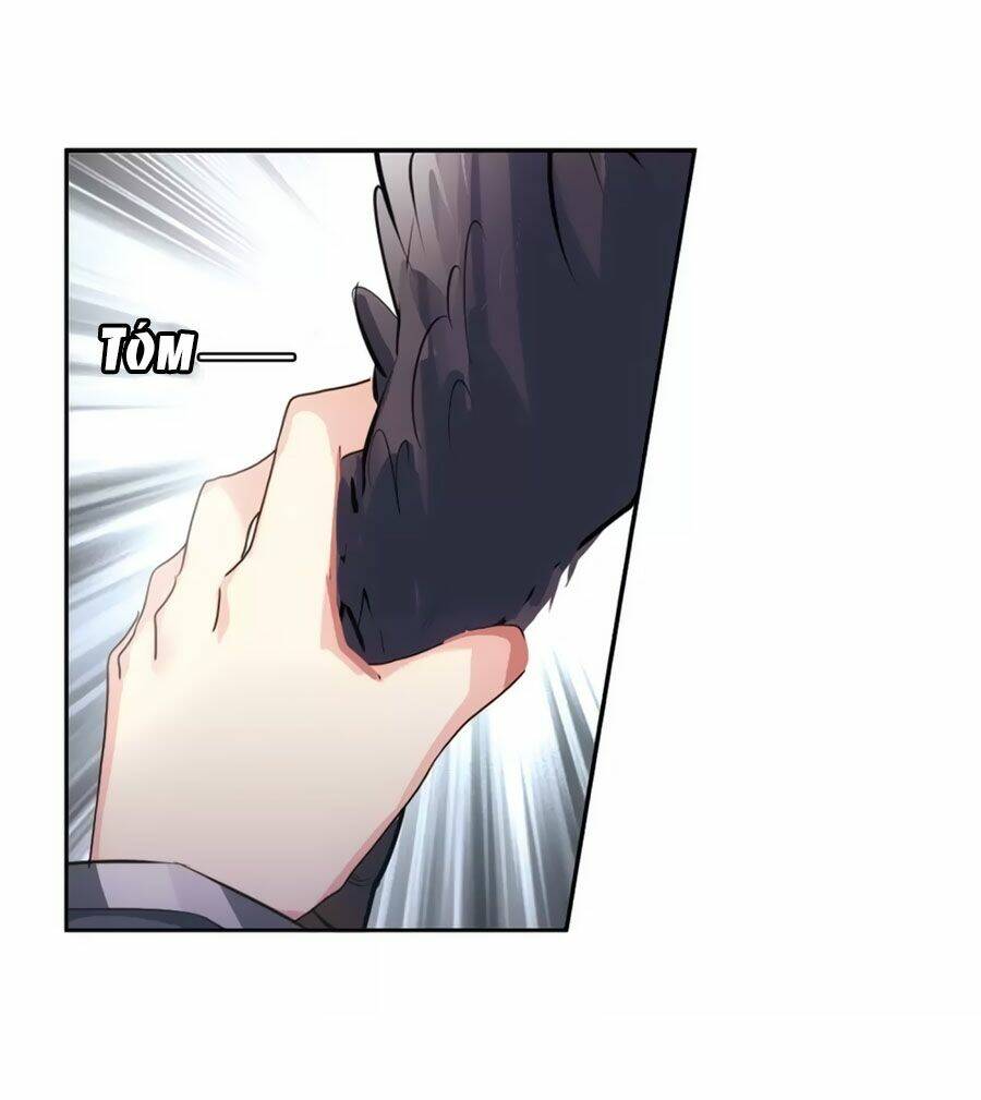 Cô Vợ Siêu Mẫu Của Cố Thiếu: Chapter 271.1