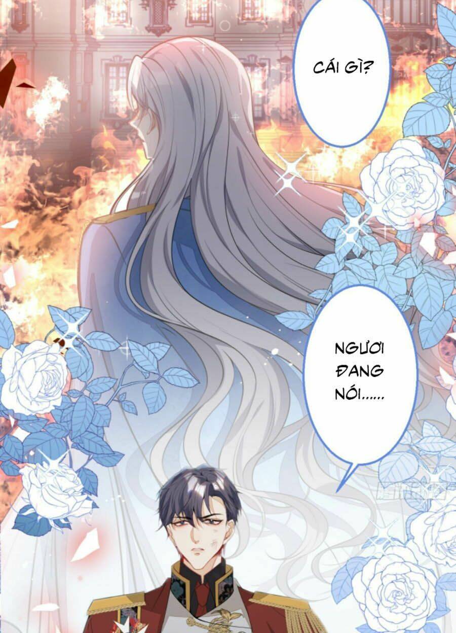 Hiratsu Cute, Shizu Cute!: Chapter 26