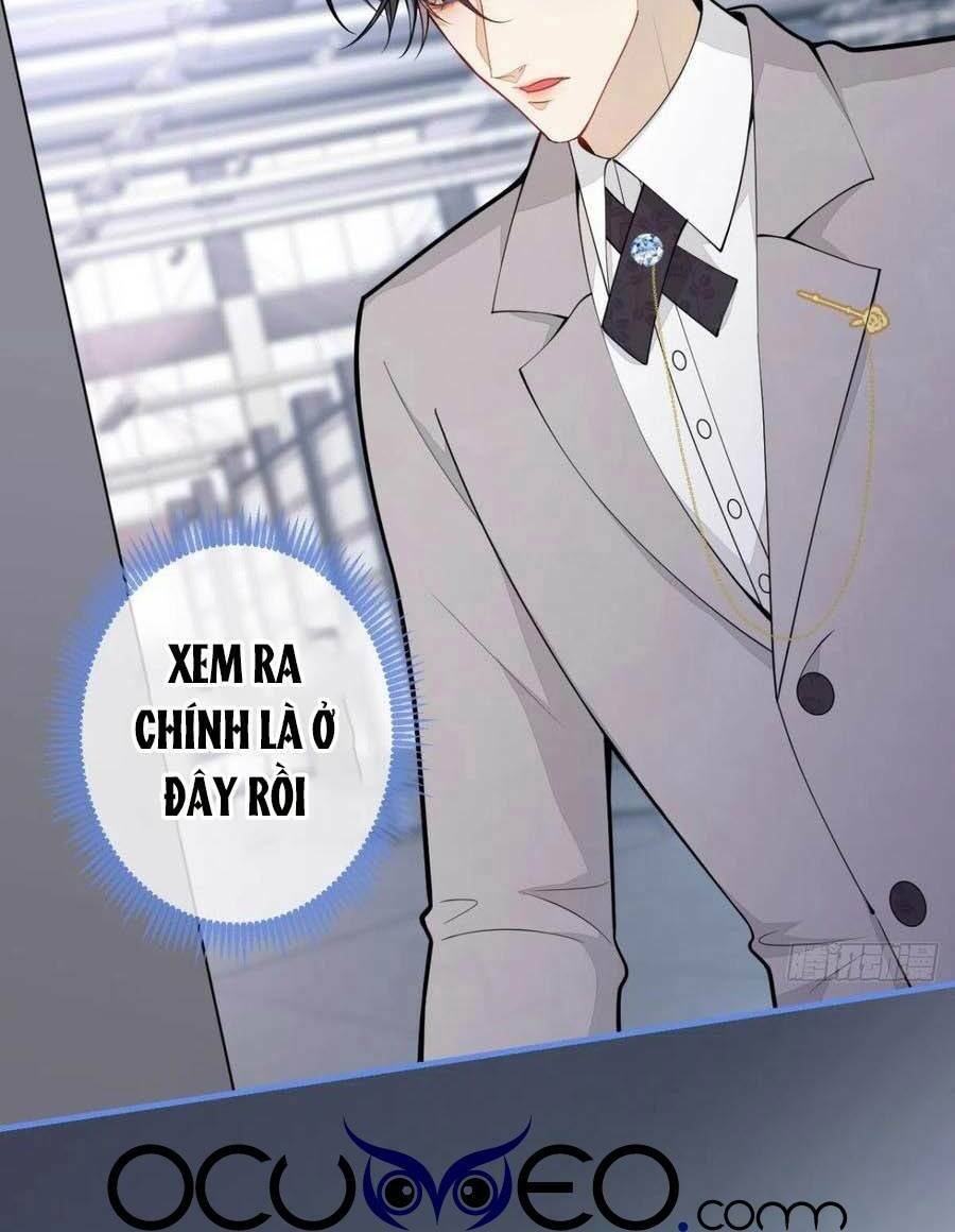 Hiratsu Cute, Shizu Cute!: Chapter 33