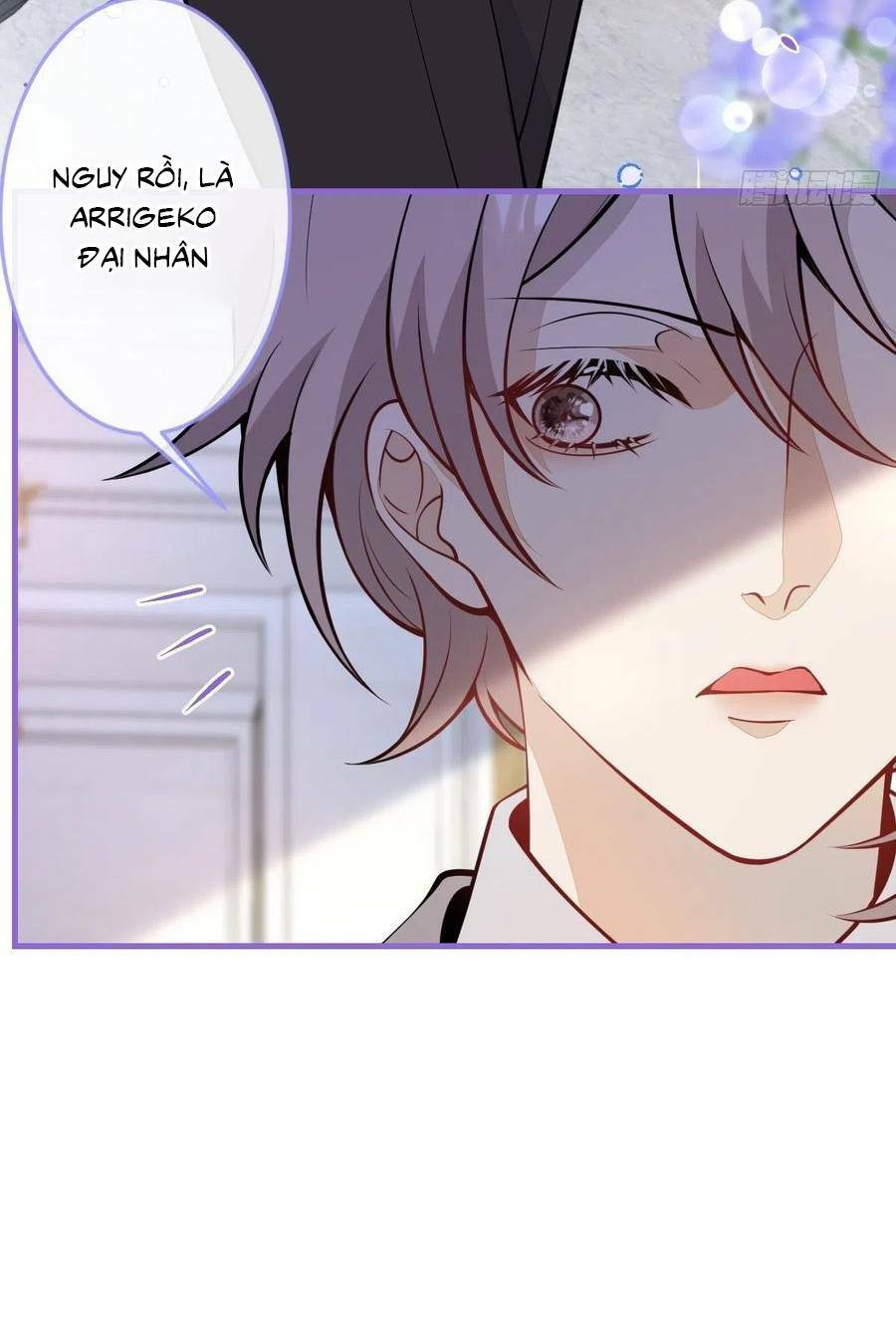 Hiratsu Cute, Shizu Cute!: Chapter 41