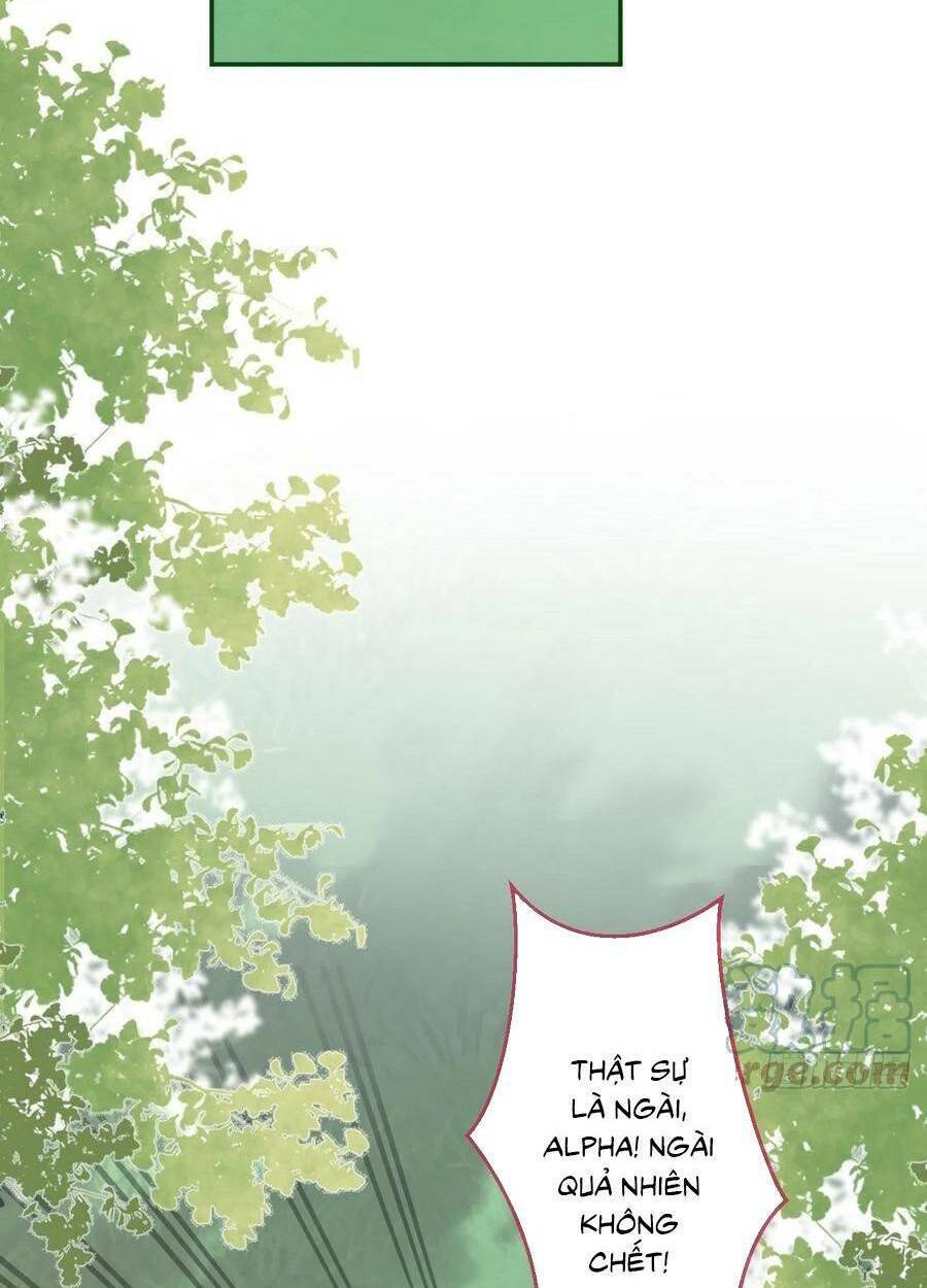 Hiratsu Cute, Shizu Cute!: Chapter 49